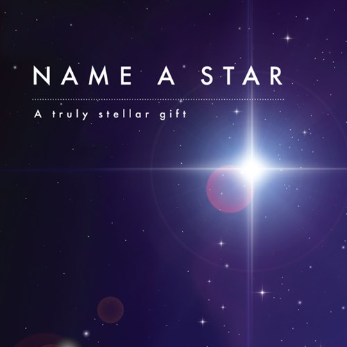 Name a Star - Budget - Top-Rated